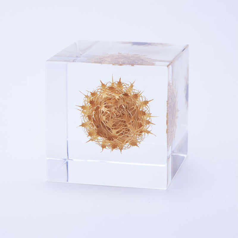 Basket Flower Sola Cube