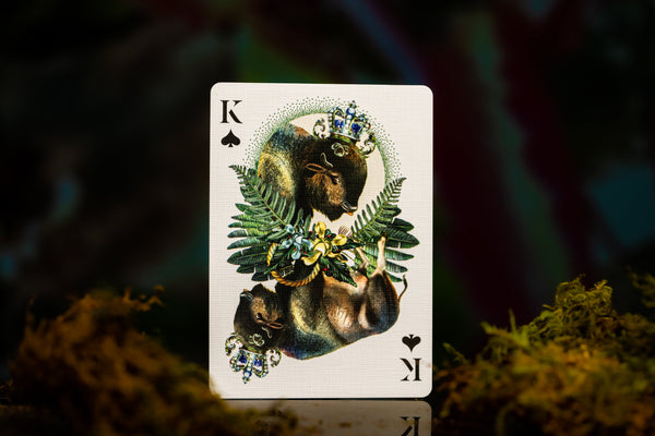 Moooi Extinct Animals Playing Cards