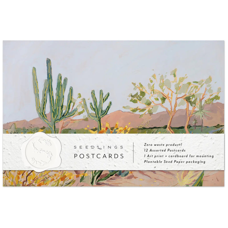 Cactus Postcard Set