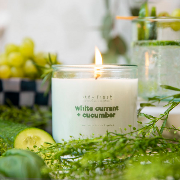 Recycled Glass Soy Candles - 10 oz - White Currant + Cucumber