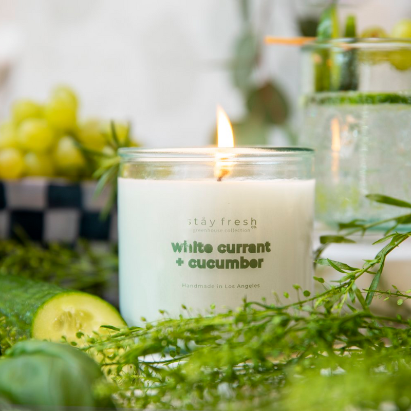 Recycled Glass Soy Candles - 10 oz - White Currant + Cucumber