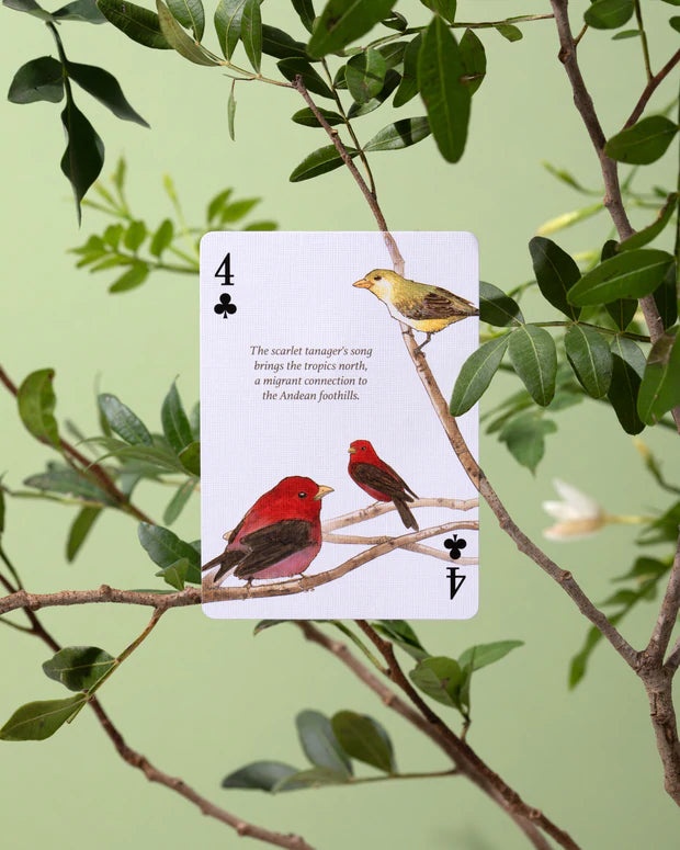 Eastern Forest Playing Cards