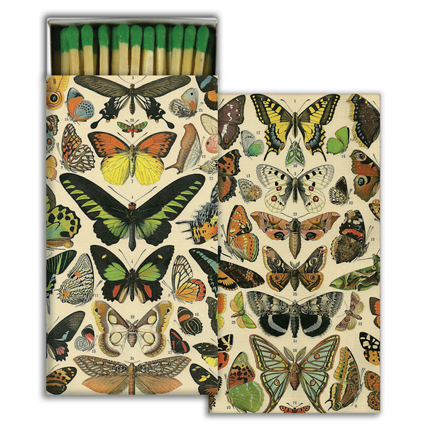 Long Matches - Butterfly Specimens