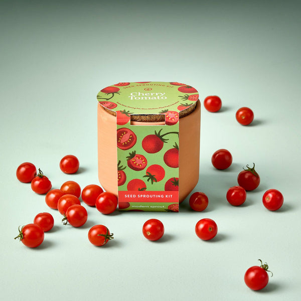 Tiny Terracotta Grow Kit - Garden - Cherry Tomato