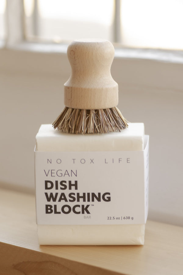 No Tox No Tox Life Casa Agave™ Long Handle Dish Brush