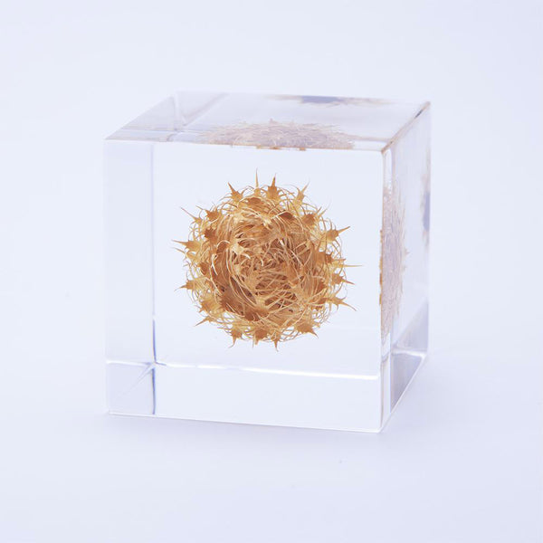 Basket Flower Cube